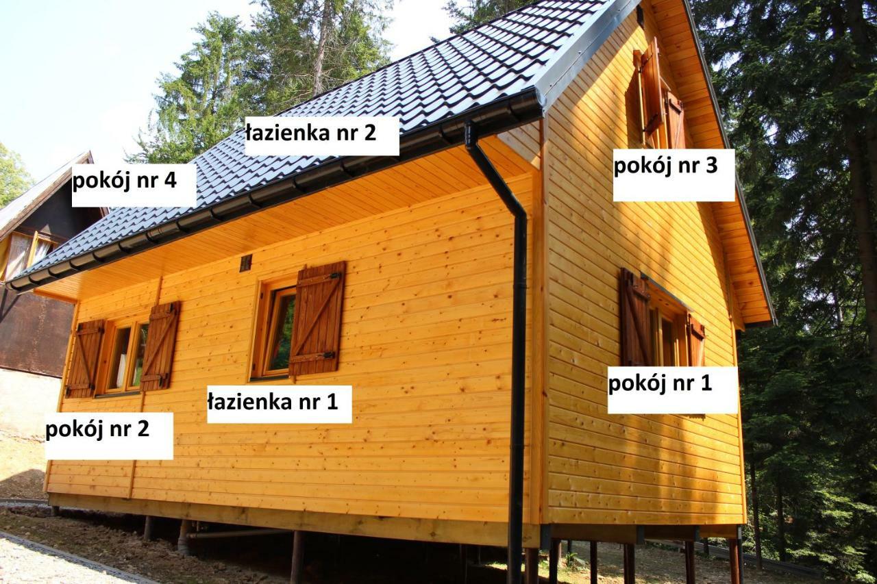 Lesna Willa Pttk W Komanczy Komańcza 외부 사진